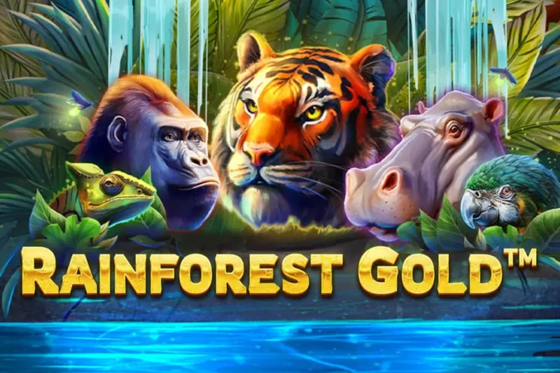 Thematic Exploration of Rainforest Gold Slot